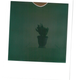 MANUAL MODE image of a cactus. 1/4 shutter speed and 11 aperture setting, no flash. It would have come out better if I could have gotten the built in light meter to work.